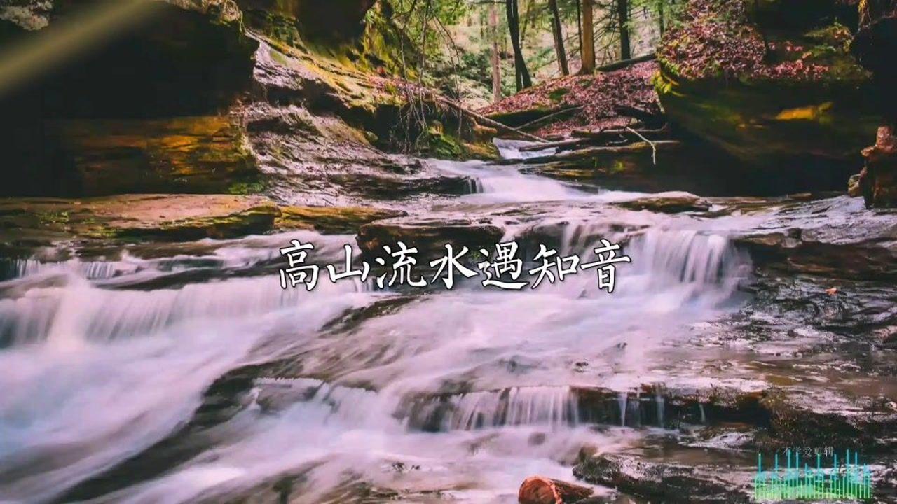 逃离仿真森林